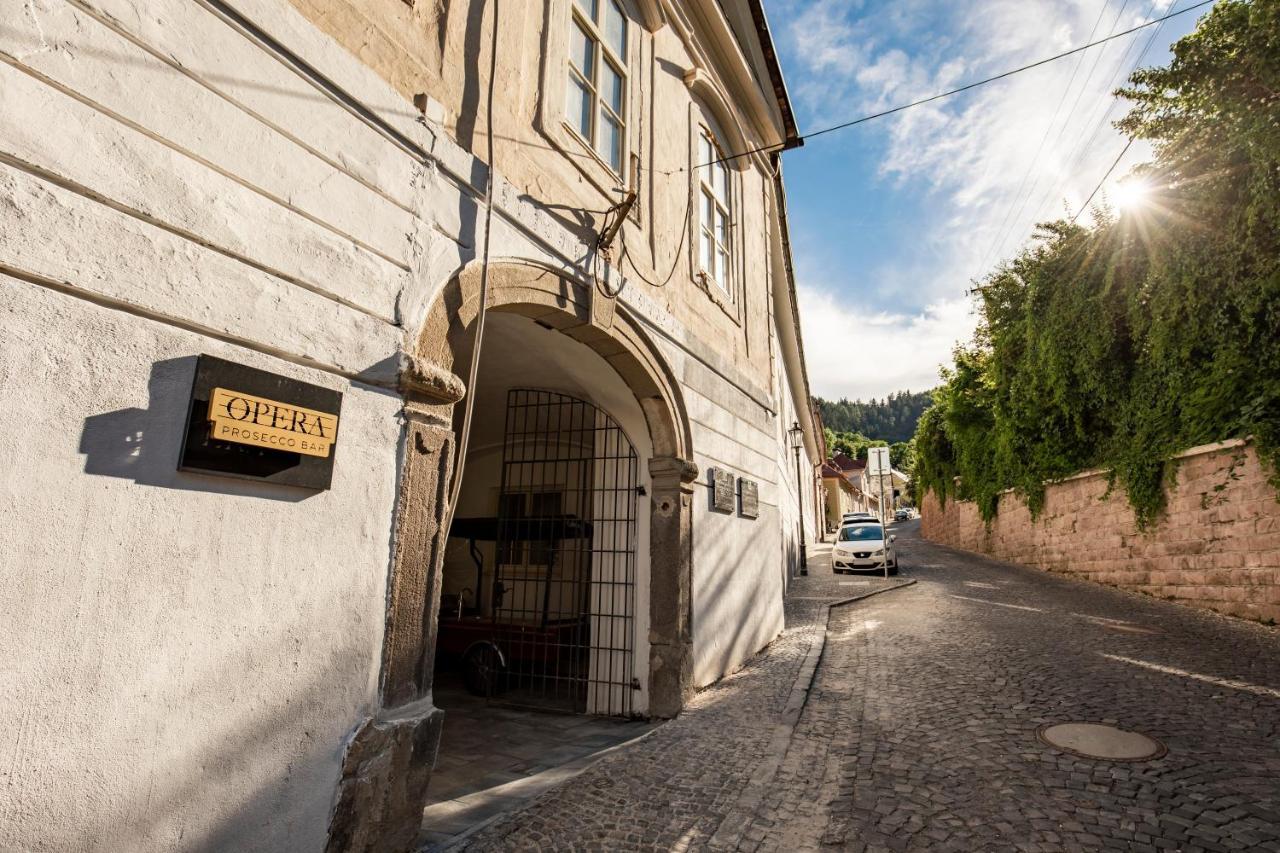 Apartman Blue Moon Banska Stiavnica Exterior photo